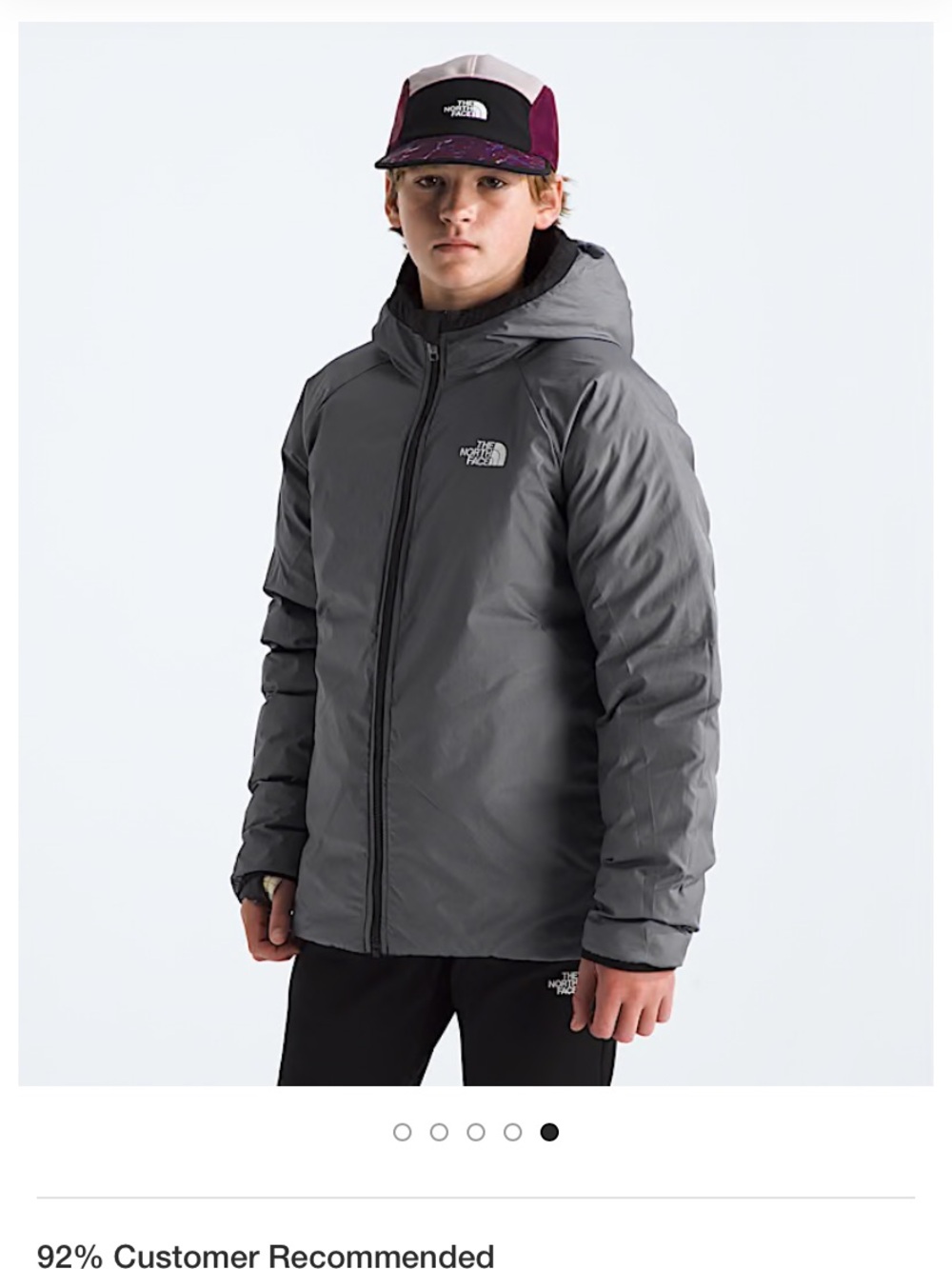 The North Face Gray Hooded Insulated Jacket